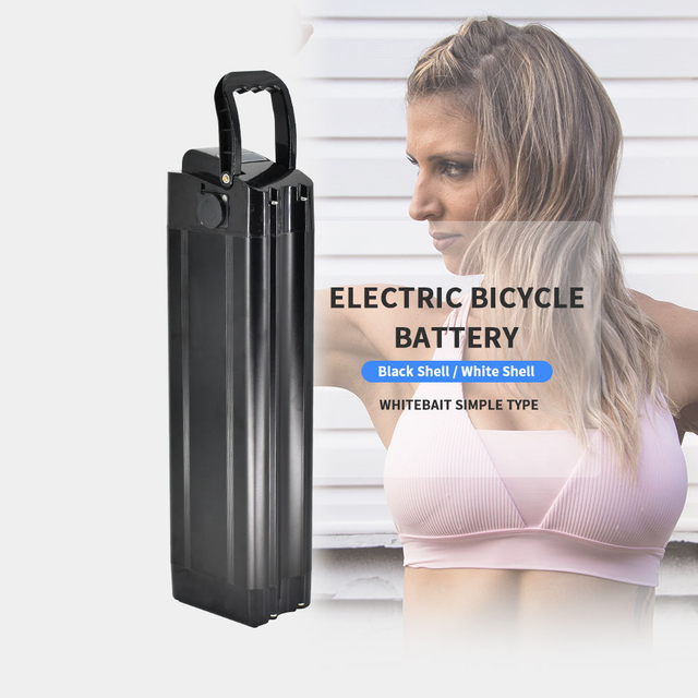 Silver Fish E-Bike-Akku, Lithium-Ionen, 18650, 36 Volt, 21 Ah, 28 Ah, 35 Ah, 48 V, 21 Ah, 28 Ah, zusammenklappbarer Elektrofahrrad-E-Bike-Akku