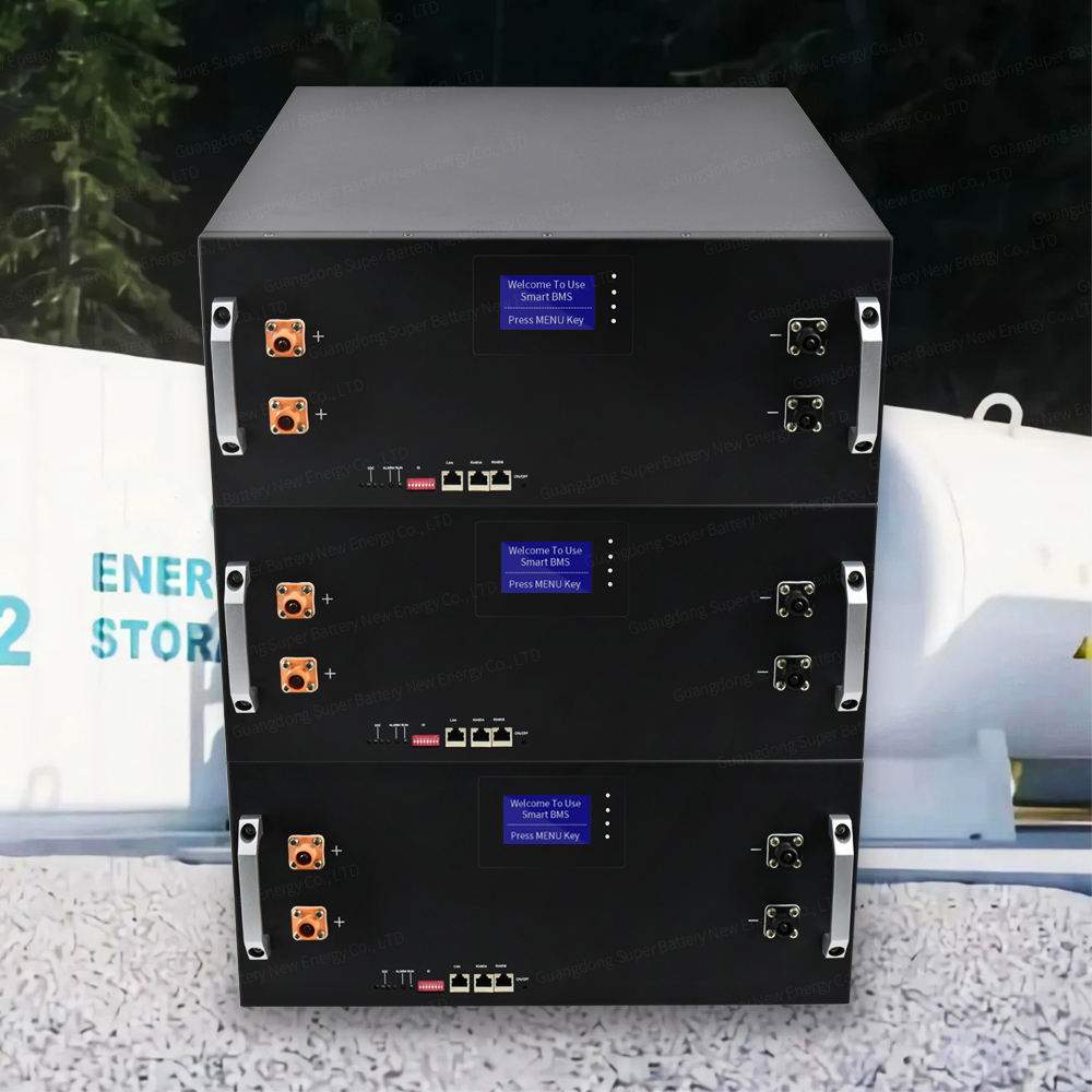 5kwh 51,2v 48v 100ah Servr Rack Lifepo4 Batteriesatz mit intelligenter BMS Lithium-Eisen-Batterie für Solarsystem-Campingwagen